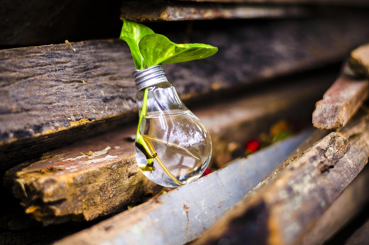 bulb, light, nature, recycle, water, green