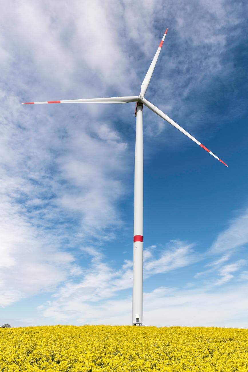 windkrafträder mit Rapsfeld